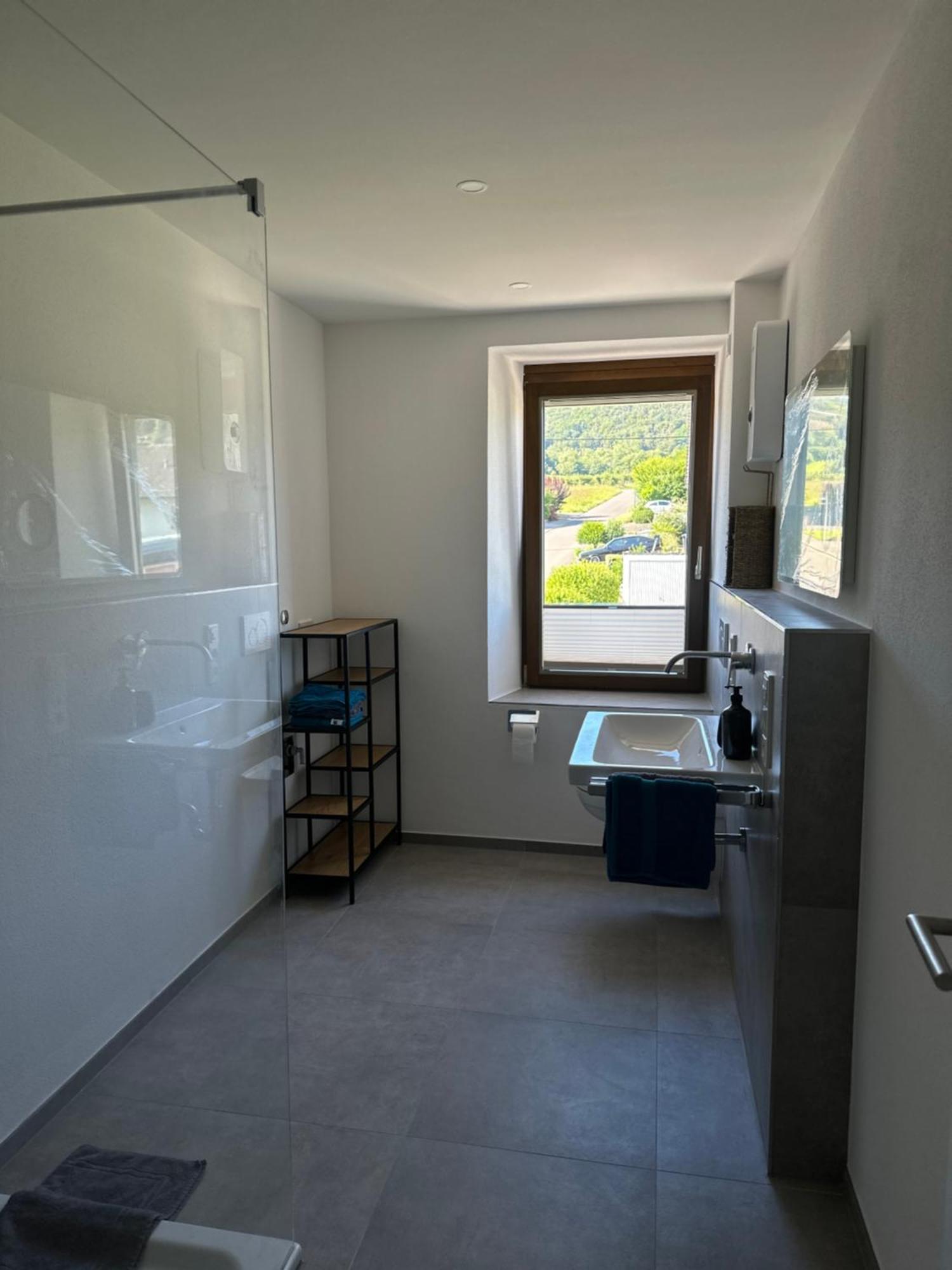 Moselappartements By Weingut Marco Adamy Losnich ภายนอก รูปภาพ