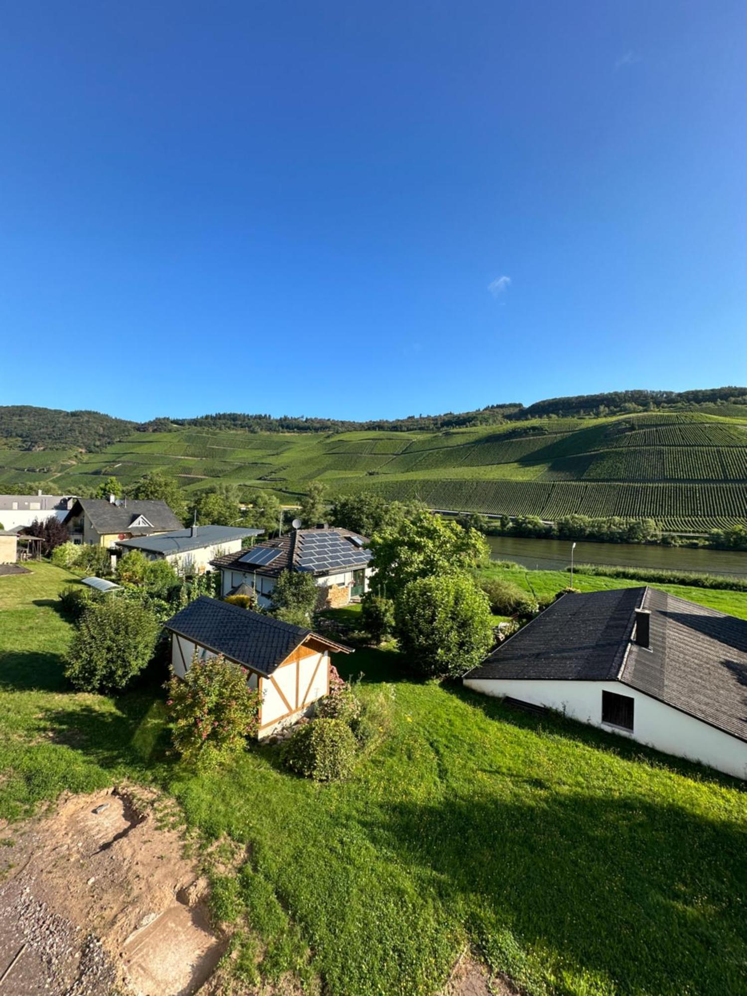 Moselappartements By Weingut Marco Adamy Losnich ภายนอก รูปภาพ