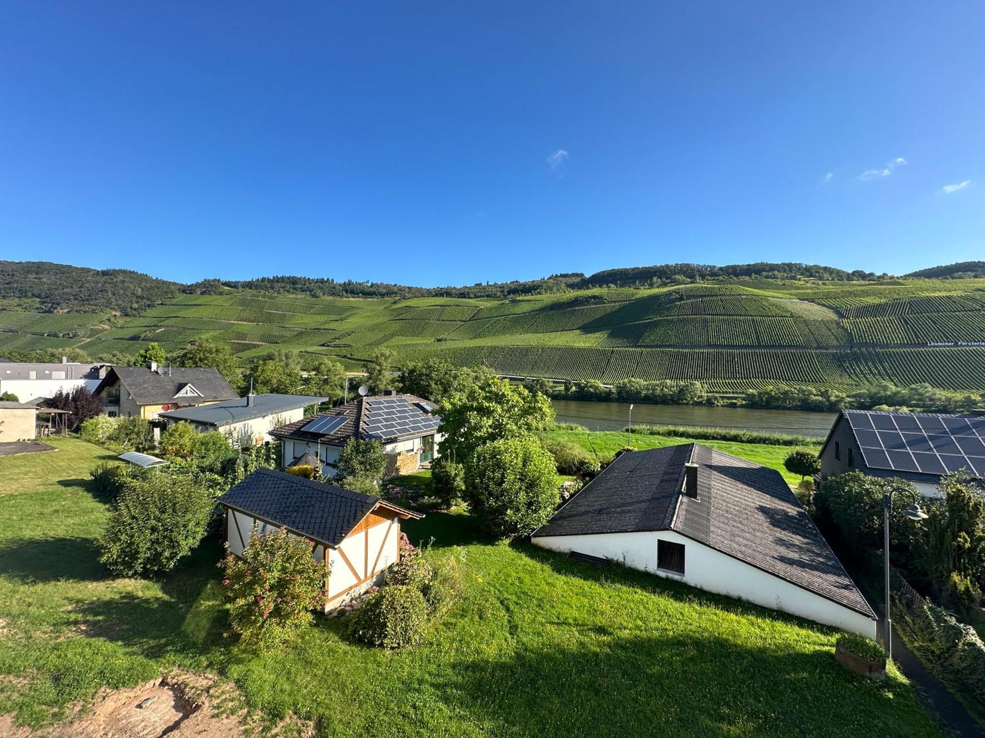 Moselappartements By Weingut Marco Adamy Losnich ภายนอก รูปภาพ