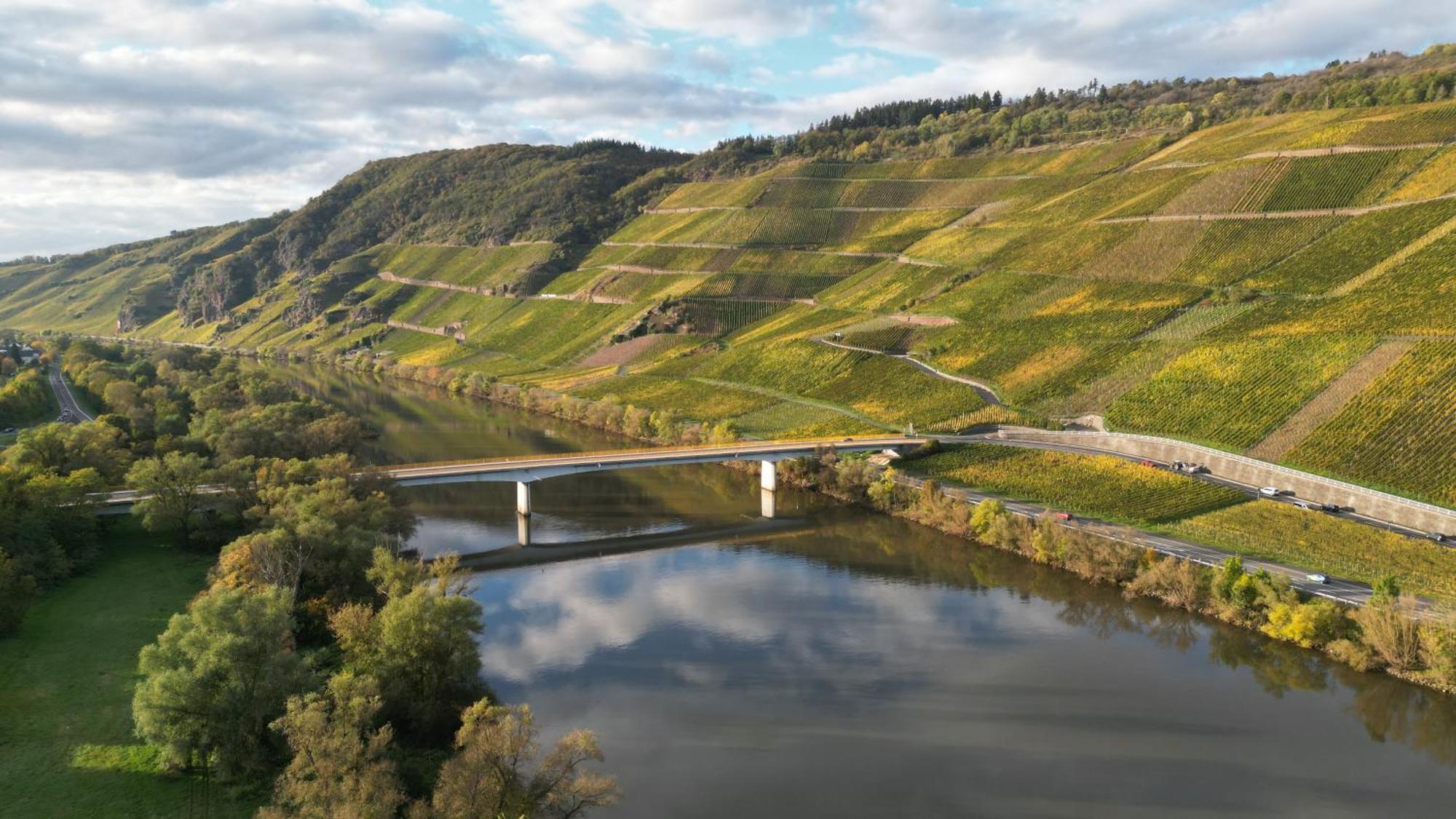 Moselappartements By Weingut Marco Adamy Losnich ภายนอก รูปภาพ