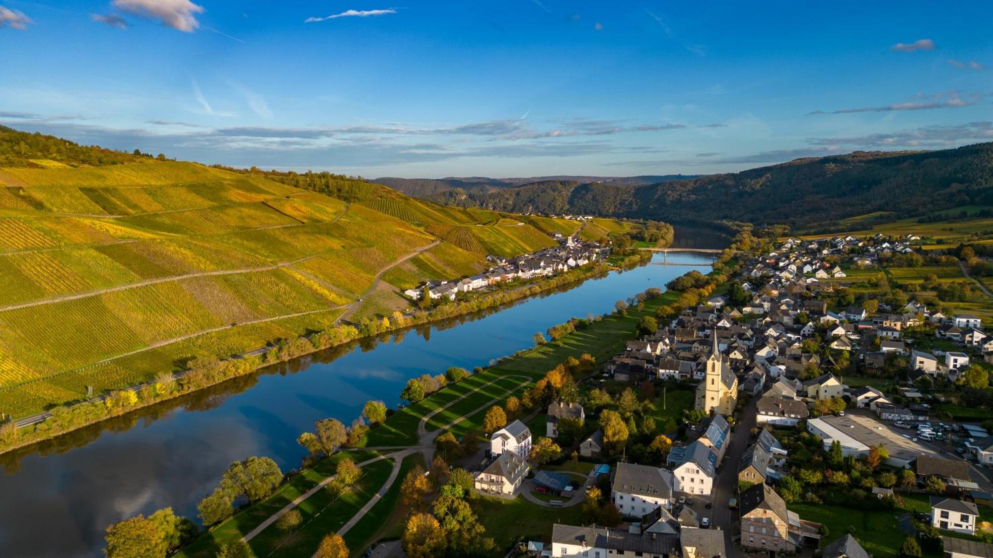 Moselappartements By Weingut Marco Adamy Losnich ภายนอก รูปภาพ