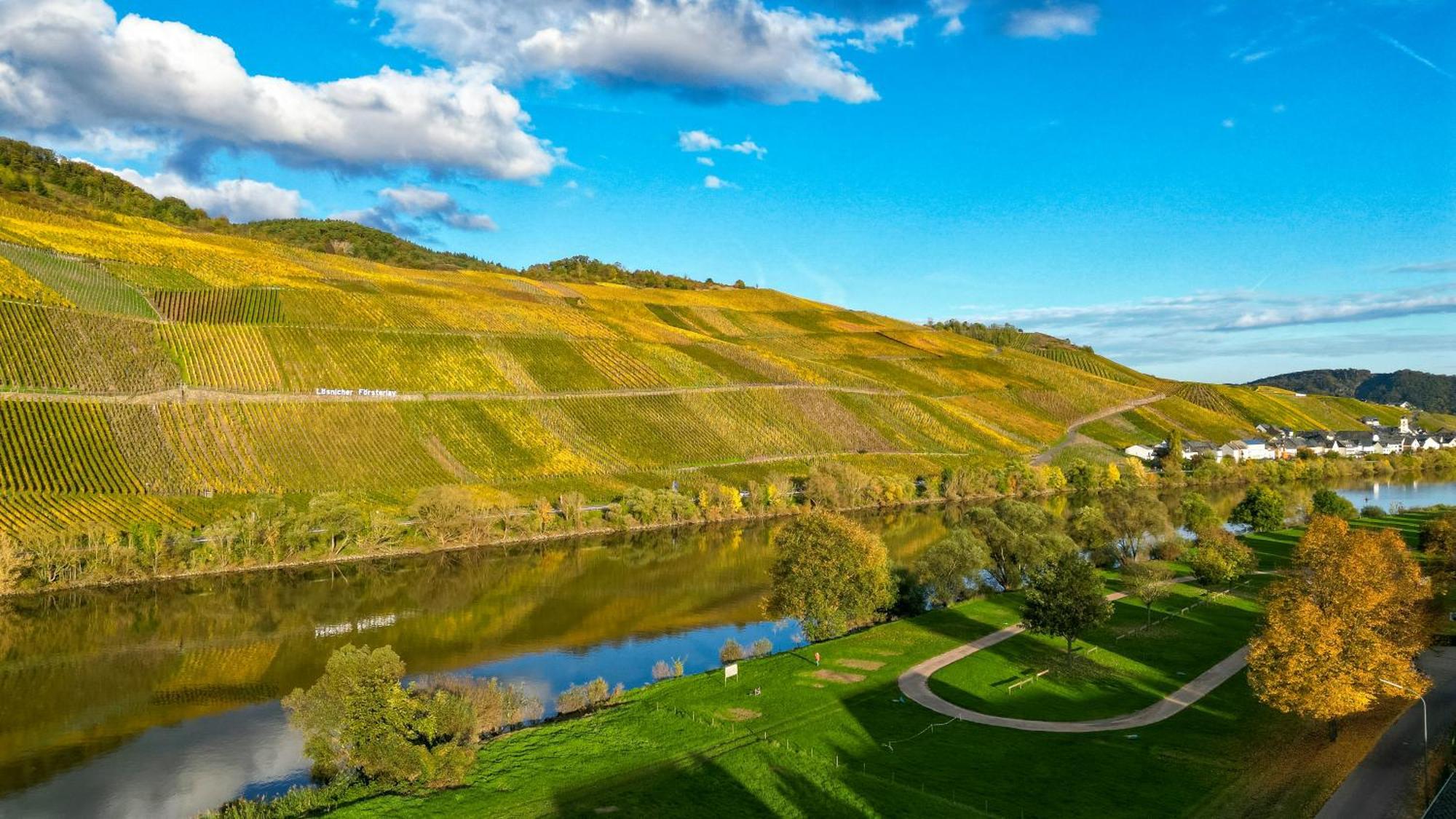 Moselappartements By Weingut Marco Adamy Losnich ภายนอก รูปภาพ
