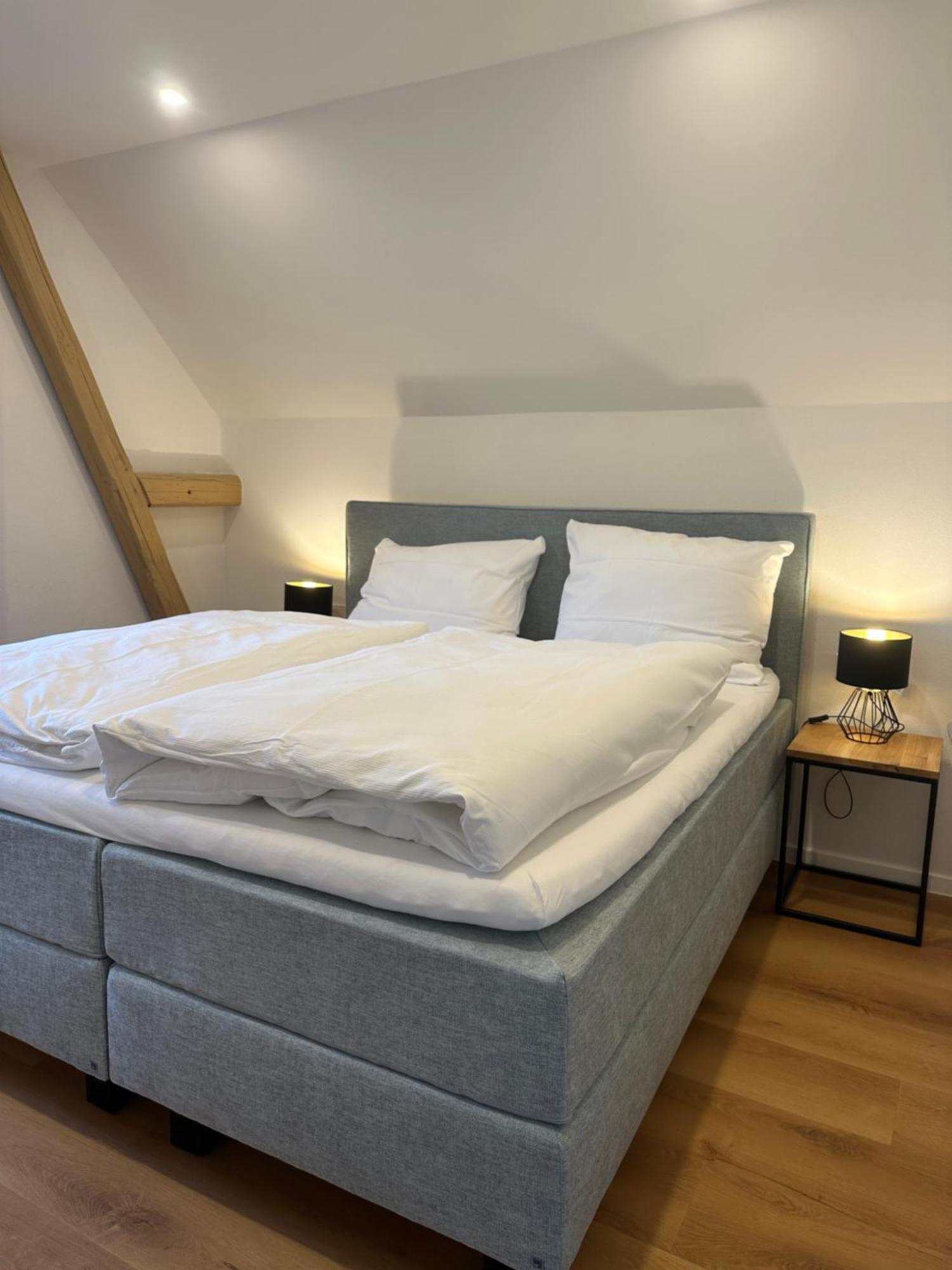 Moselappartements By Weingut Marco Adamy Losnich ภายนอก รูปภาพ